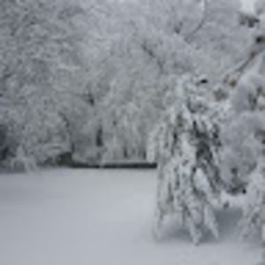 Meet your Posher, Fara